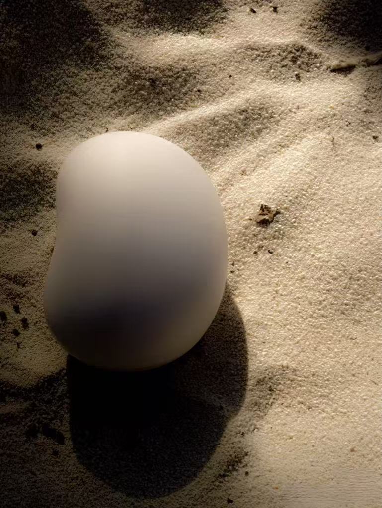 Eco-Friendly Biodegradable Pet Urn for Water Burial/Sea Burial - Sustainable Memorial for Beloved Pets
