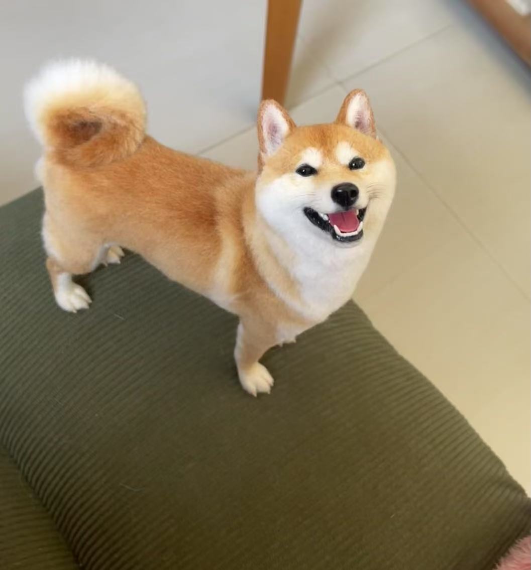 Hyper-Realistic Custom Needle Felted Pet | Handmade from Photos | Forever Memorial Gift